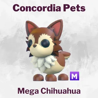 Mega Chihuahua