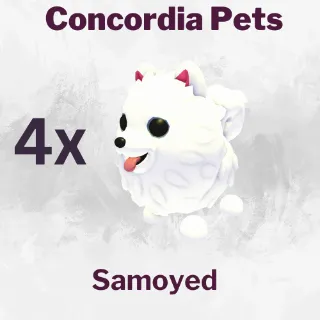 Samoyed