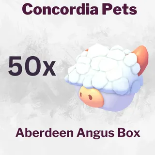 Aberdeen Angus Box