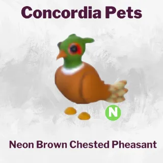 Neon Brown Chested Pheasant