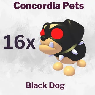Black Dog 16x