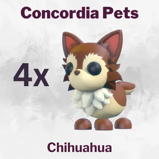Chihuahua x4