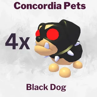 Black Dog 4x