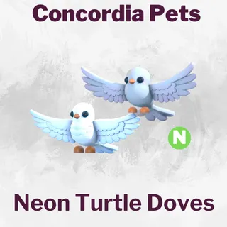 Neon Turtle Doves