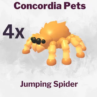 Jumping Spider 4x