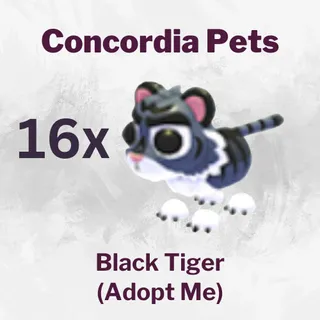 Black Tiger x16