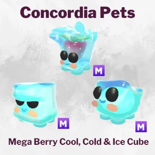 Mega Berry Cool, Cold & Ice Cube