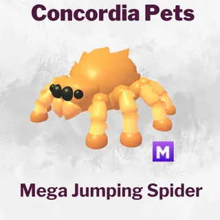 Mega Jumping Spider