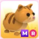 MR GINGER CAT