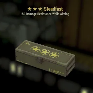 Steadfast Mod