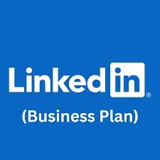 Linkedin Business Plan 12 Months Fast Delivery