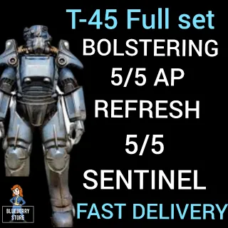 T45 BOLSTERING AP SENTINEL