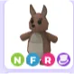 NFR Kangaroo