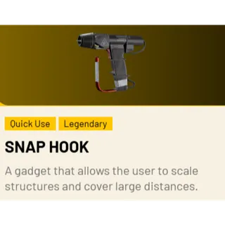 snap hooks x 10
