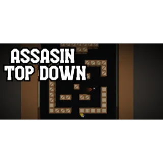 assasin top down