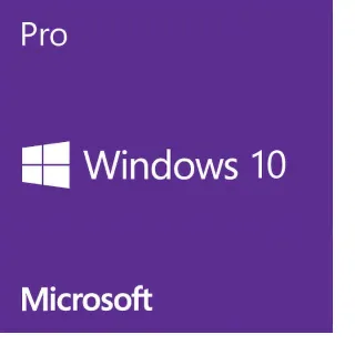 Windows 10 pro key fast delivery 