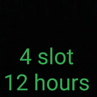 4 Slot 12 Hours Partner