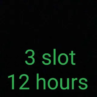 3 Slot 12 Hours Partner