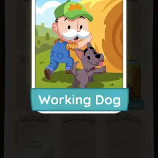 WORKING DOG