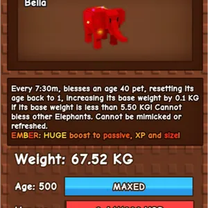 67kg Rbh Elephant