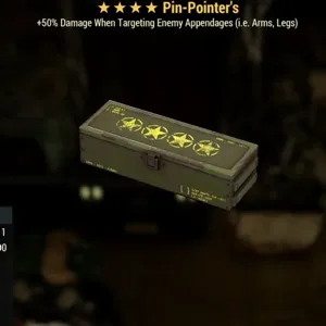 pin pointers mod