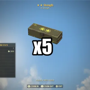 x5 strength +2