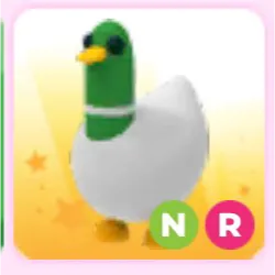 N silly duck adopt me