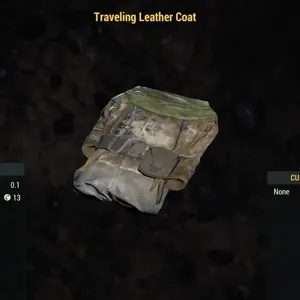 Traveling Leather Coat