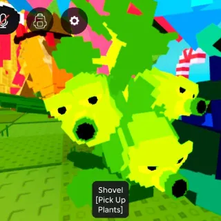 1.6 Kg Neon Brussel Sprout