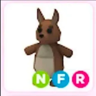 NFR Kangaroo