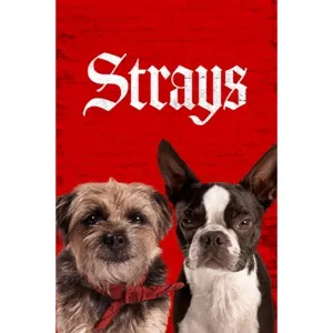 Strays