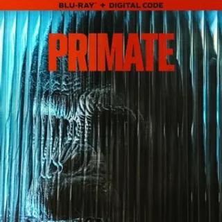Primate