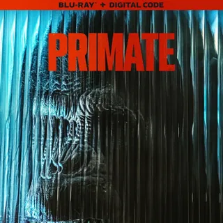 Primate