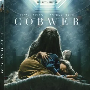 Cobweb