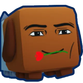 20x Man Face Dogcat BGSI