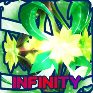 🌿INFINITY Essence of Life🌿