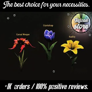 500 EACH BASE BIG BLOOM FLOWERS