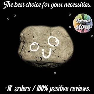 PET ROCK MISC