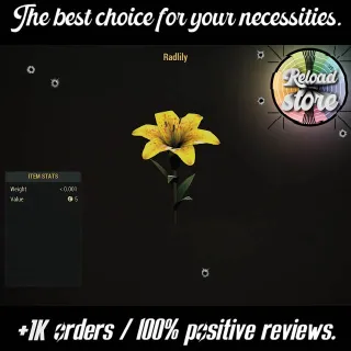 6000 BIG BLOOM FLOWERS