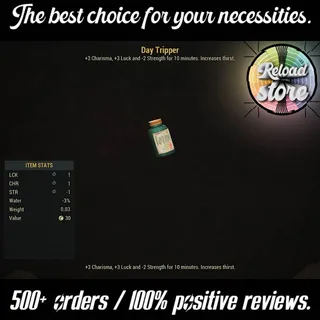 1000x Day Tripper