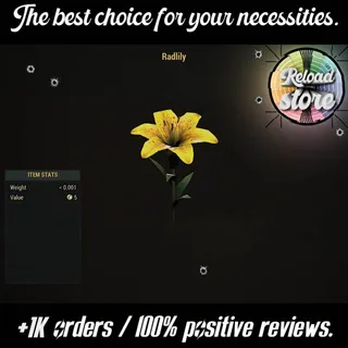 6000 BIG BLOOM FLOWERS