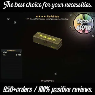 1x Pin-Pointer's Mod