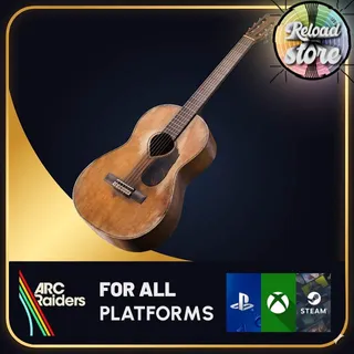 1x Acoustic Guitar