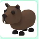 CAPYBARA