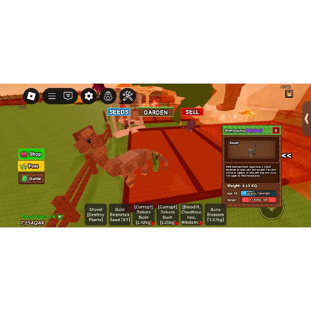 รายการภาพถ่าย