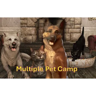 Multiple Pet Camp