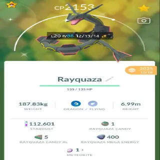 Rayquaza (Shiny)