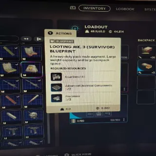 Looting Mk3 Survivor