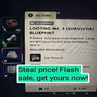 Looting Mk3 Survivor Blueprint
