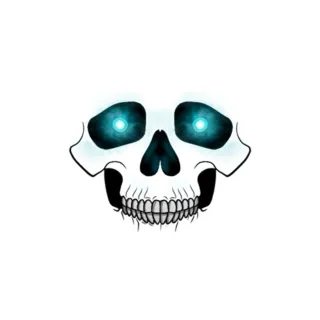 Skeleton Face Code